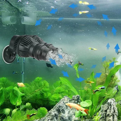 universiteitsstudent Dollar maandag Aquariums Accessories - Buy Aquariums Accessories at Best Price in SYBazzar