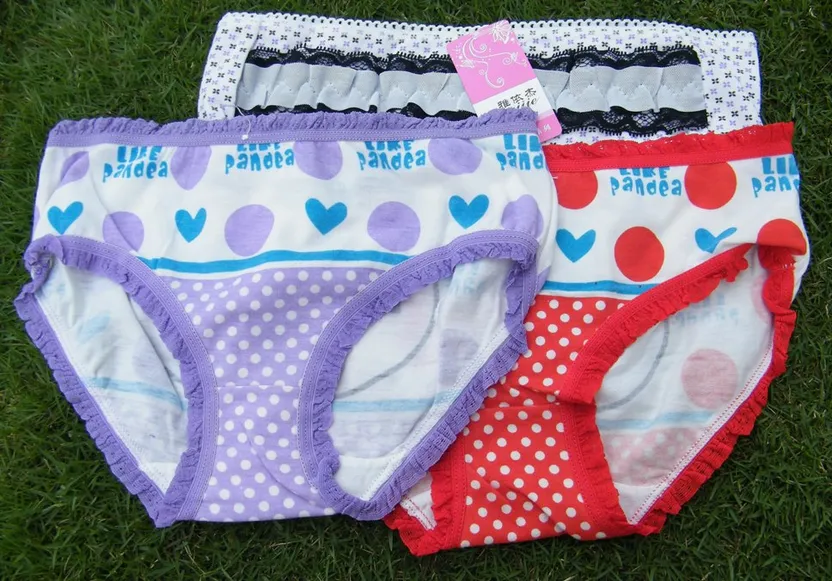 3 Pieces/Set Menstrual Period Underwear Women Period Panties